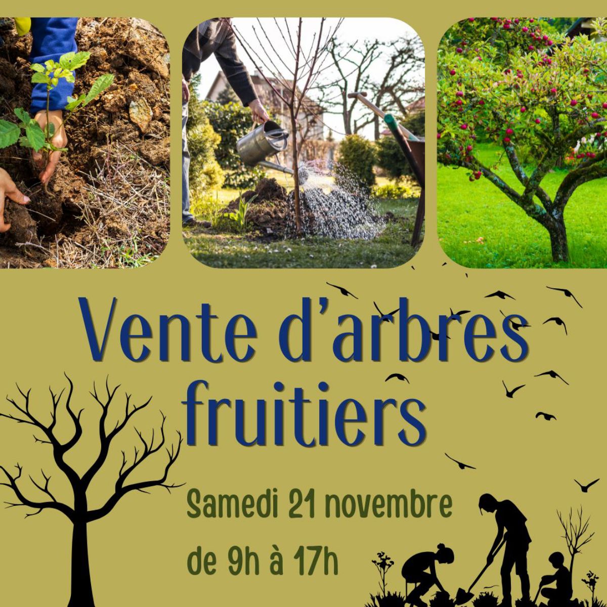 Vente d'arbres fruitiers