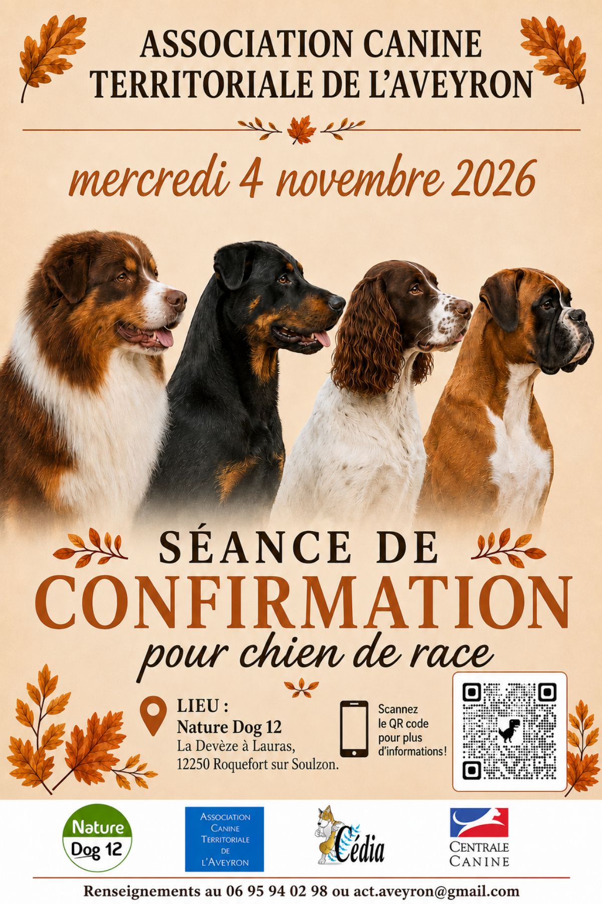Séance de confirmation pour chien de race